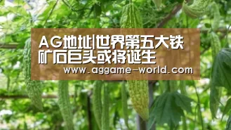 AG地址|世界第五大铁矿石巨头或将诞生(图2) AG百家乐