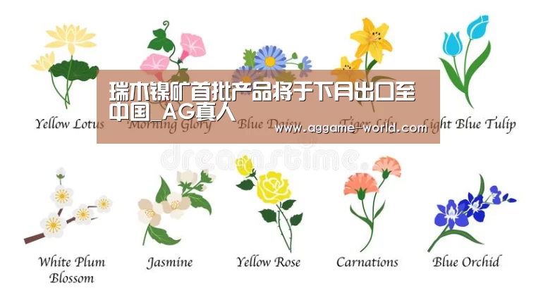 AG视讯