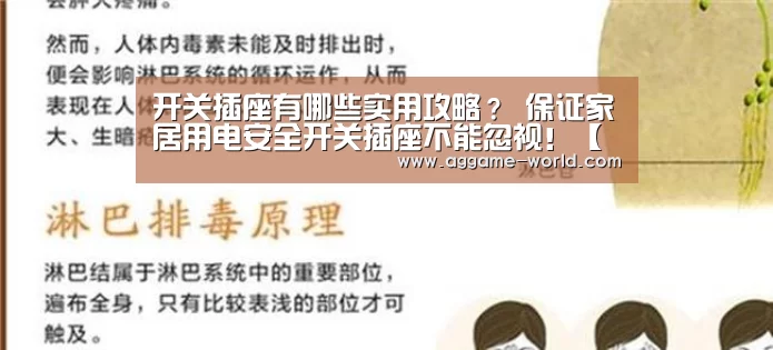 开关插座有哪些实用攻略? 保证家居用电安全开关插座不能忽视!【AG百家乐】(图2) AG地址