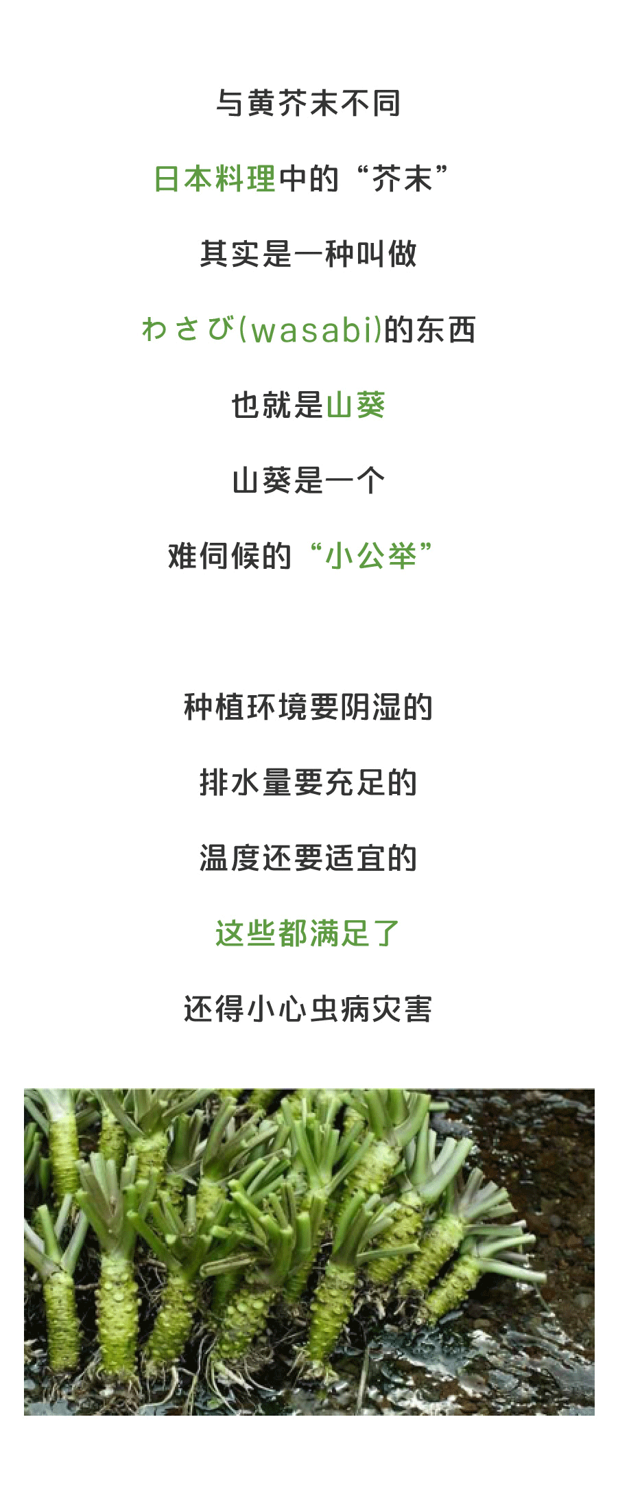 【AG视讯】探寻非金属矿产业科学发展“金钥匙”(图2) AG地址