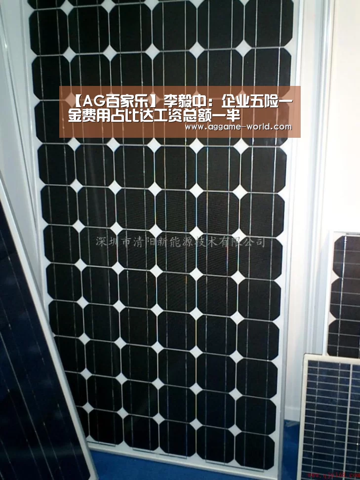 【AG百家乐】李毅中:企业五险一金费用占比达工资总额一半(图3) AG百家乐