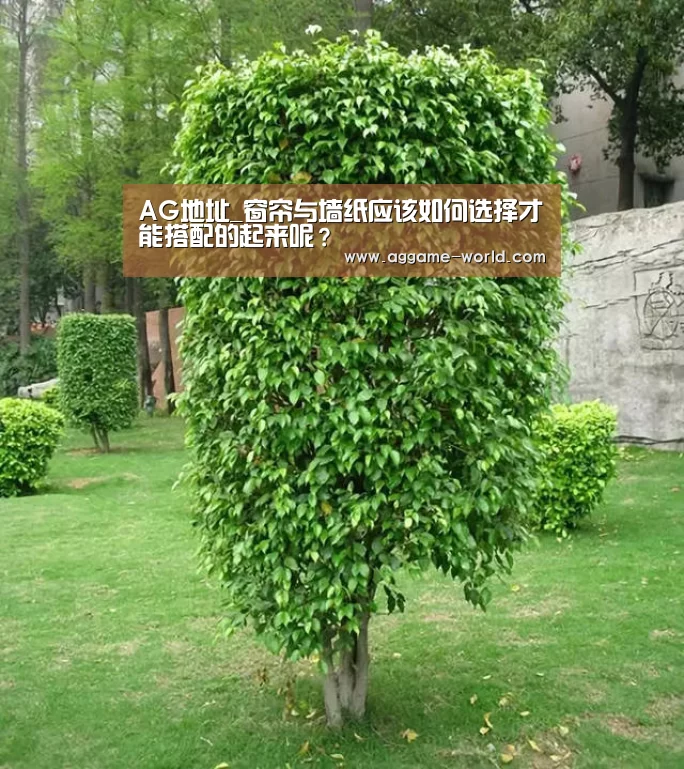 AG地址_窗帘与墙纸应该如何选择才能搭配的起来呢?(图1) AG地址