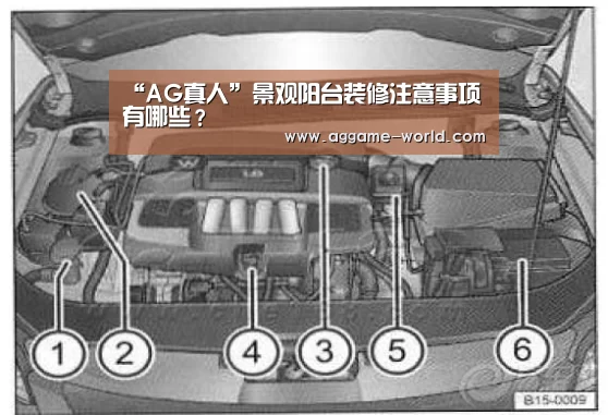 “AG真人”景观阳台装修注意事项有哪些?(图1) AG地址